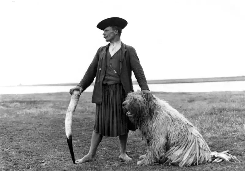 komondor és gazdája